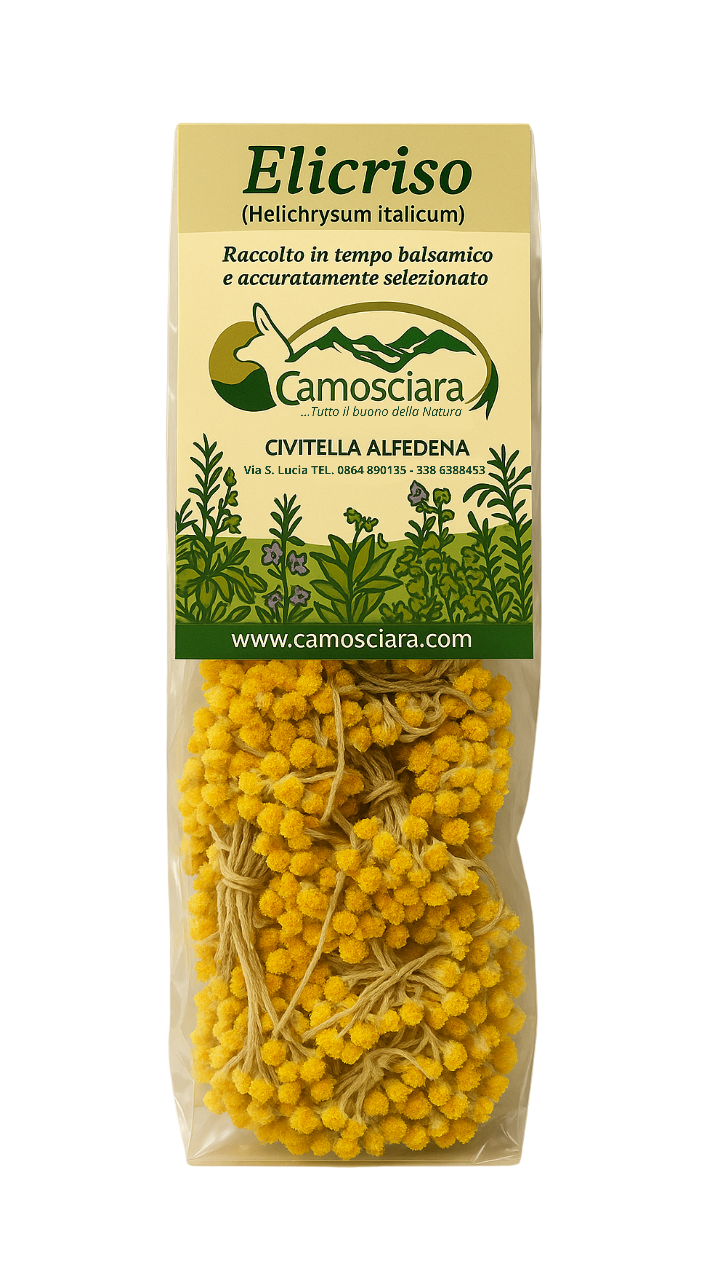 Elicriso (Helichrysum italicum) - Camosciara
