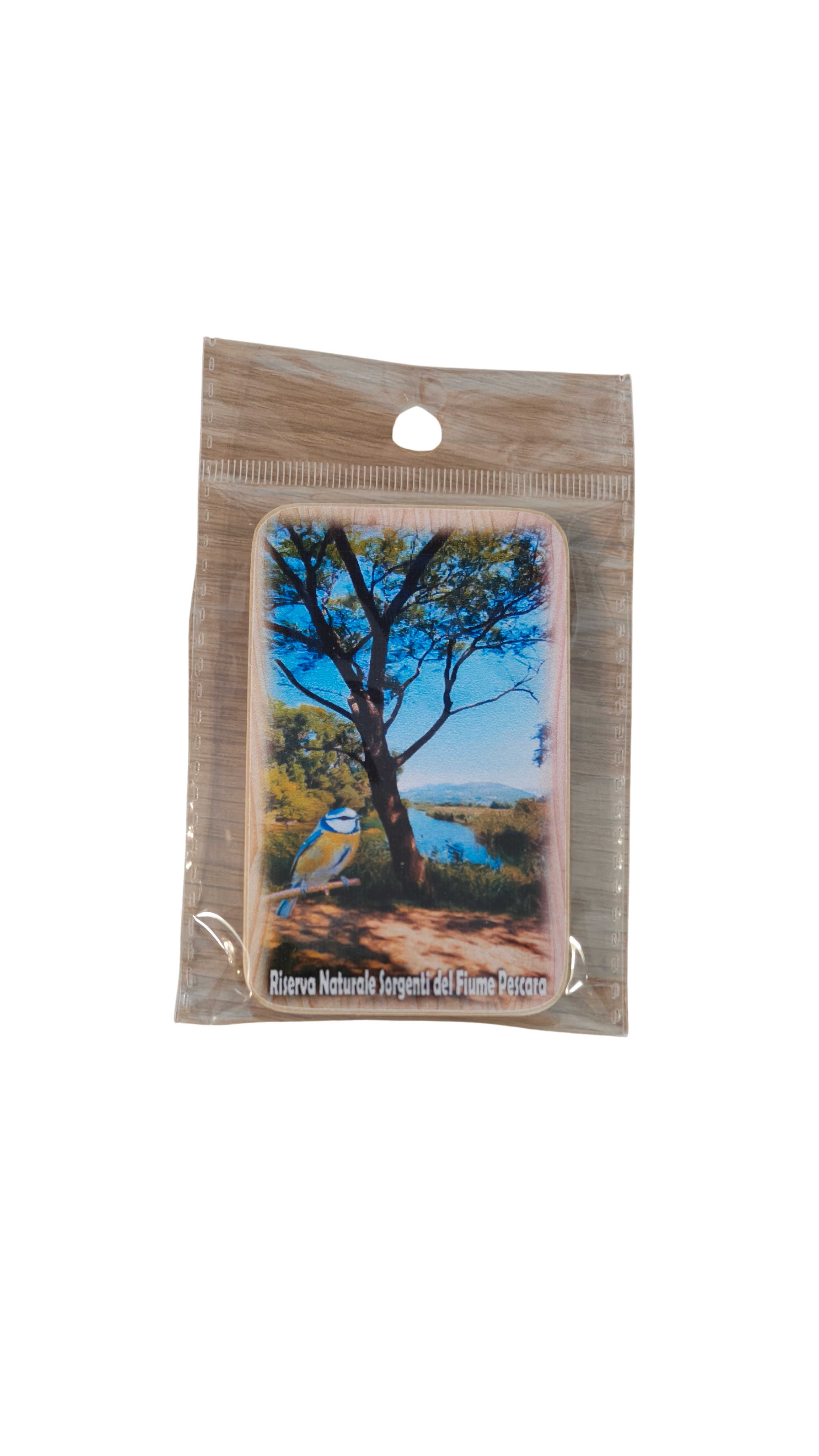 Calamita Riserva naturale sorgenti del Pescara verticale