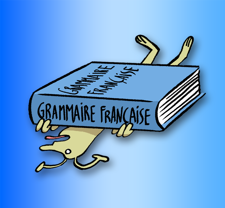 Séquence complète de grammaire (cycle 4)