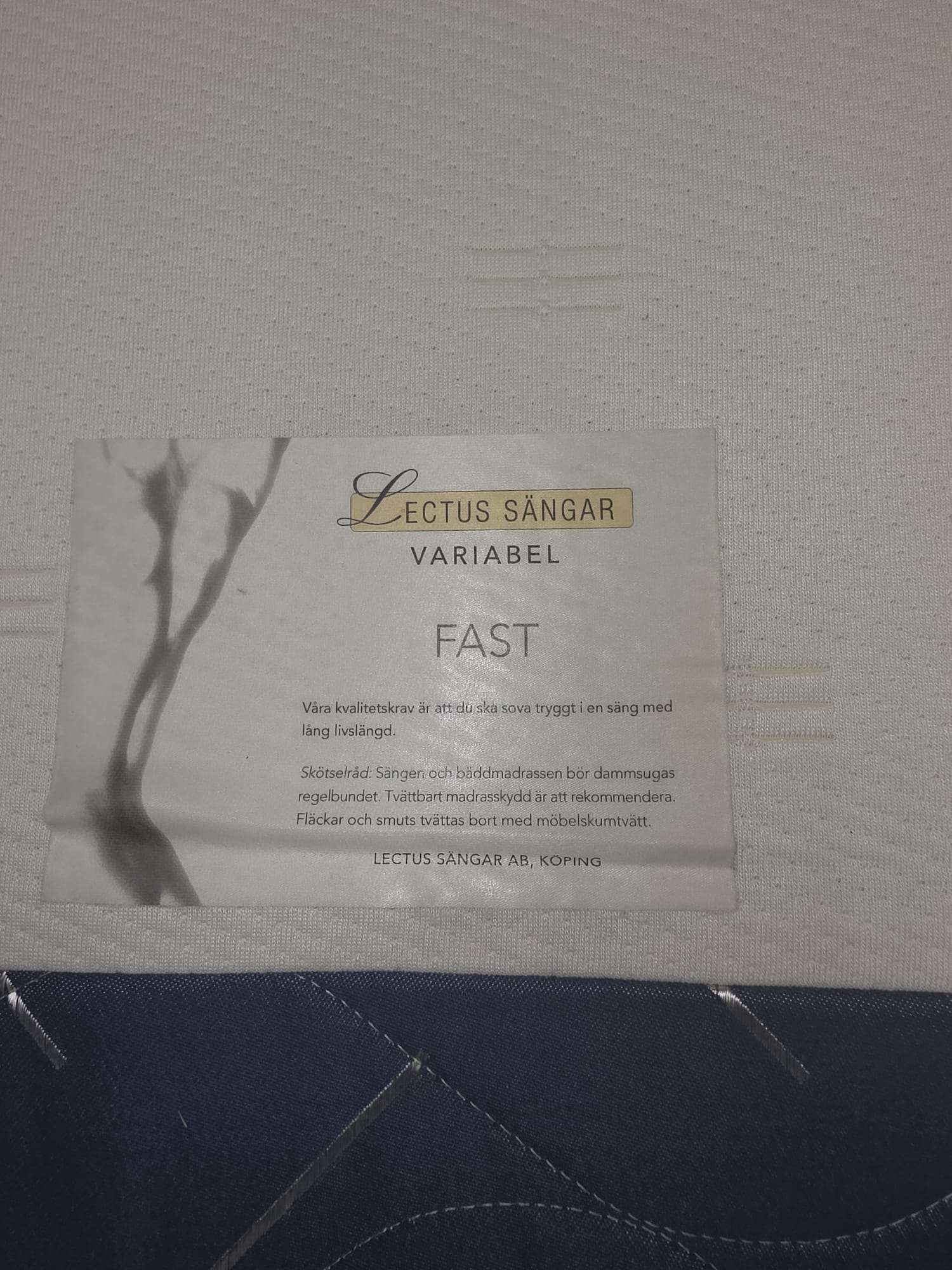 Lectus Moottorisänky