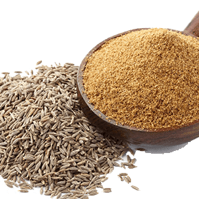 Cumin Seeds (Whole & Powder)