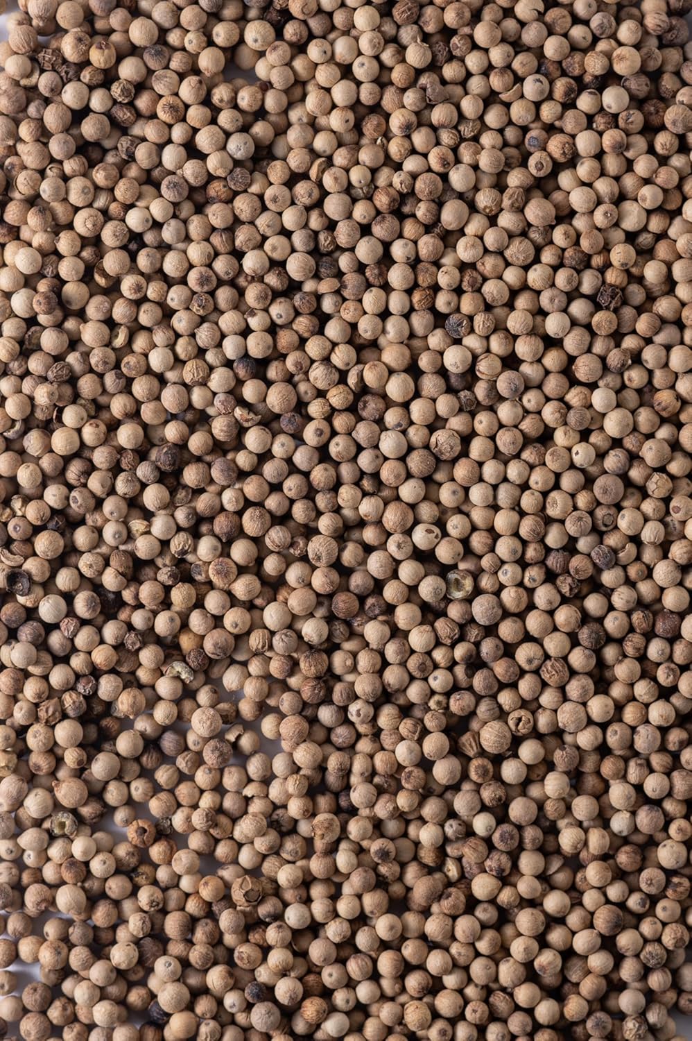 Weißer Pfeffer – Ganze Körner • 1000 g