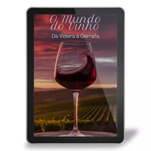O Mundo do Vinho: Da Videira à Garrafa