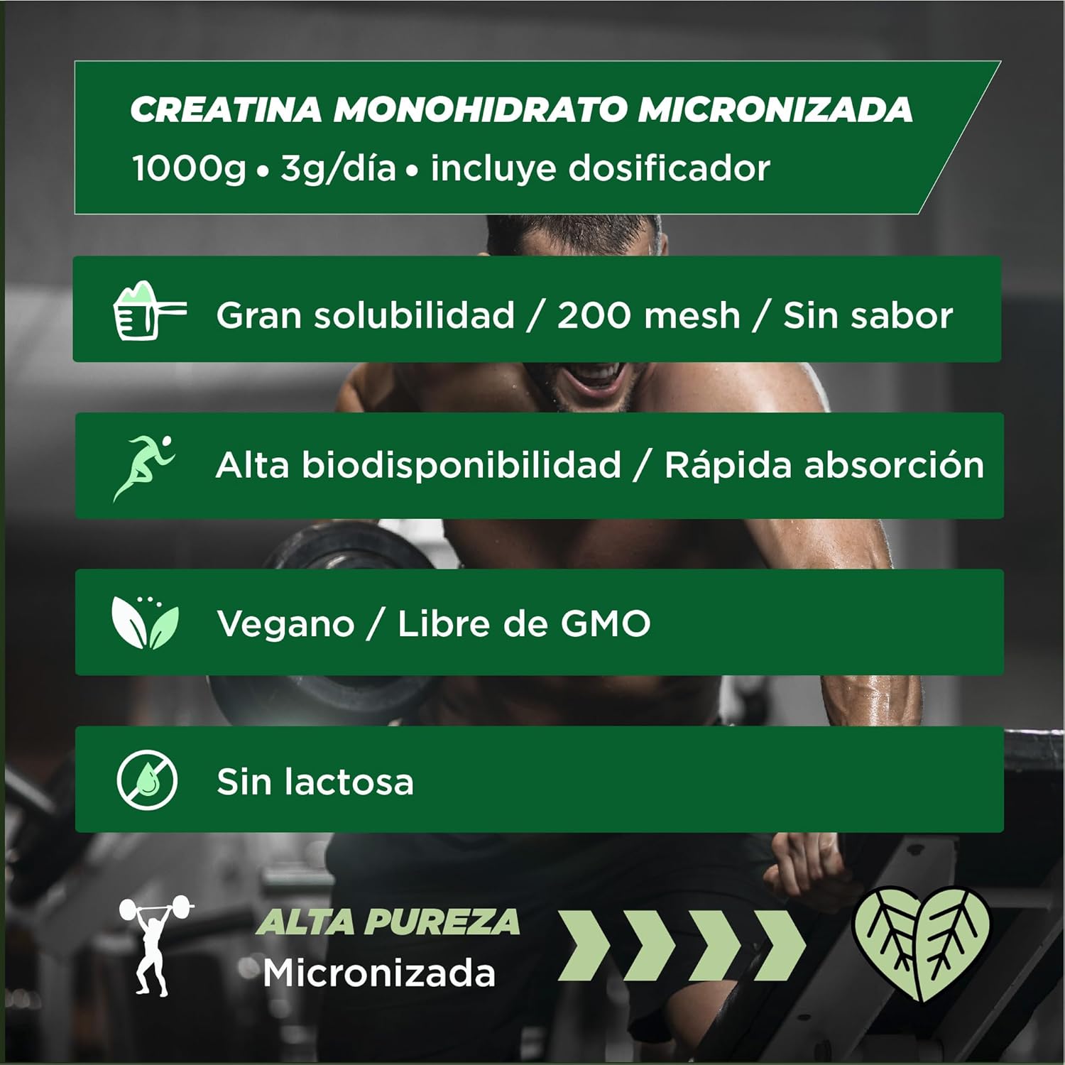 Creatina Monohidratada em Pó Foodelis 1kg/333 doses, 100% creatina monohidrato micronizada - sem sabor - pura e sem aditivos - Não-OGM - alta solubilidade, inclui doseadores
