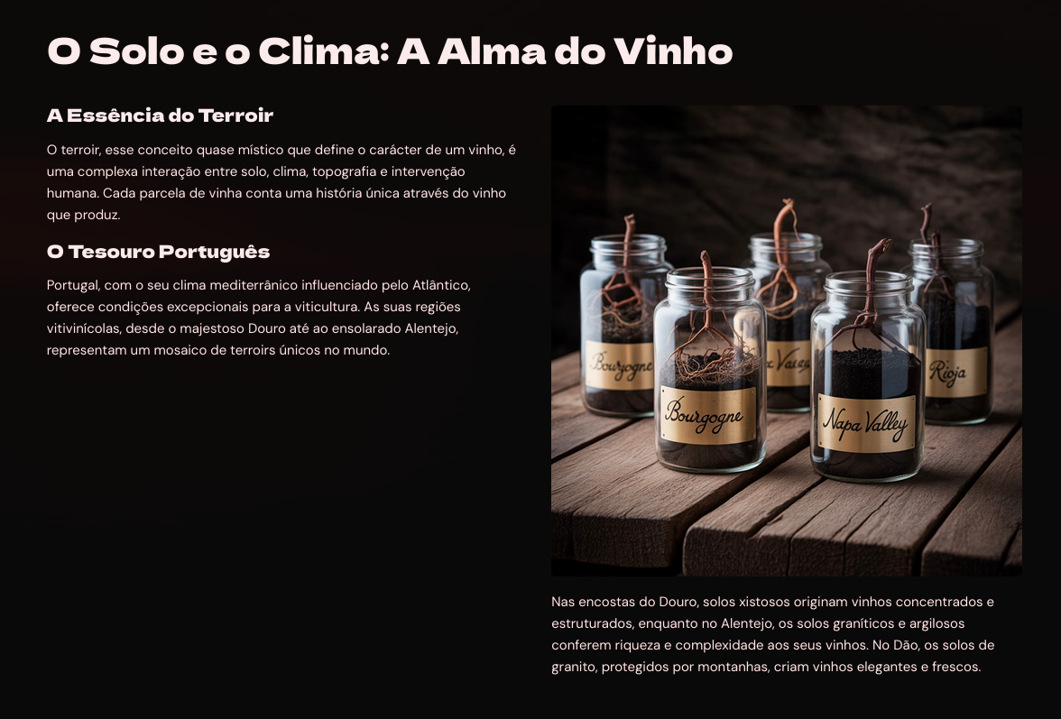 O Mundo do Vinho: Da Videira à Garrafa