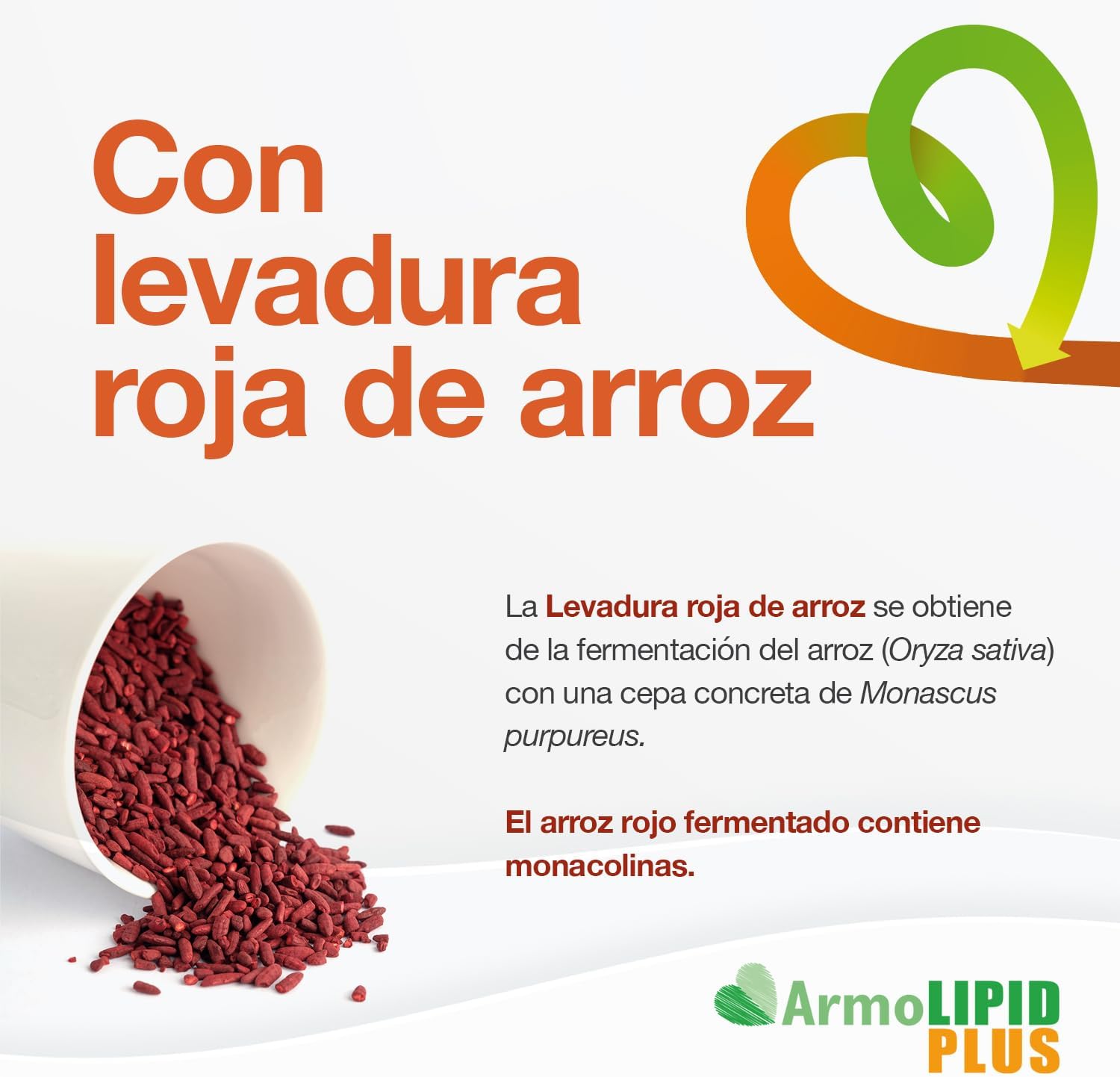 ArmoLIPID PLUS - Complemento alimentar para o controlo do colesterol e dos riglicéridos, com levedura vermelha de arroz, berberina, coenzima Q10, astaxantina e ácido fólico, 60 comprimidos