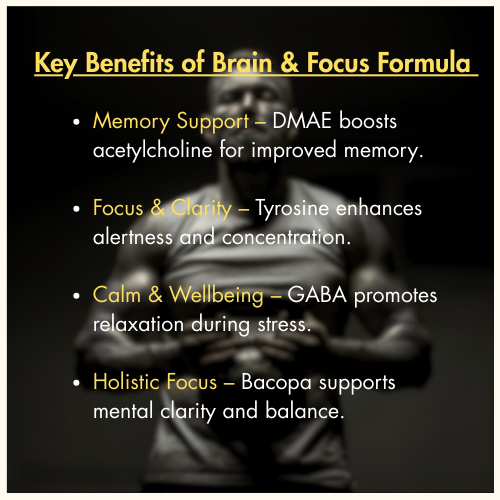 Brain & Focus Formula