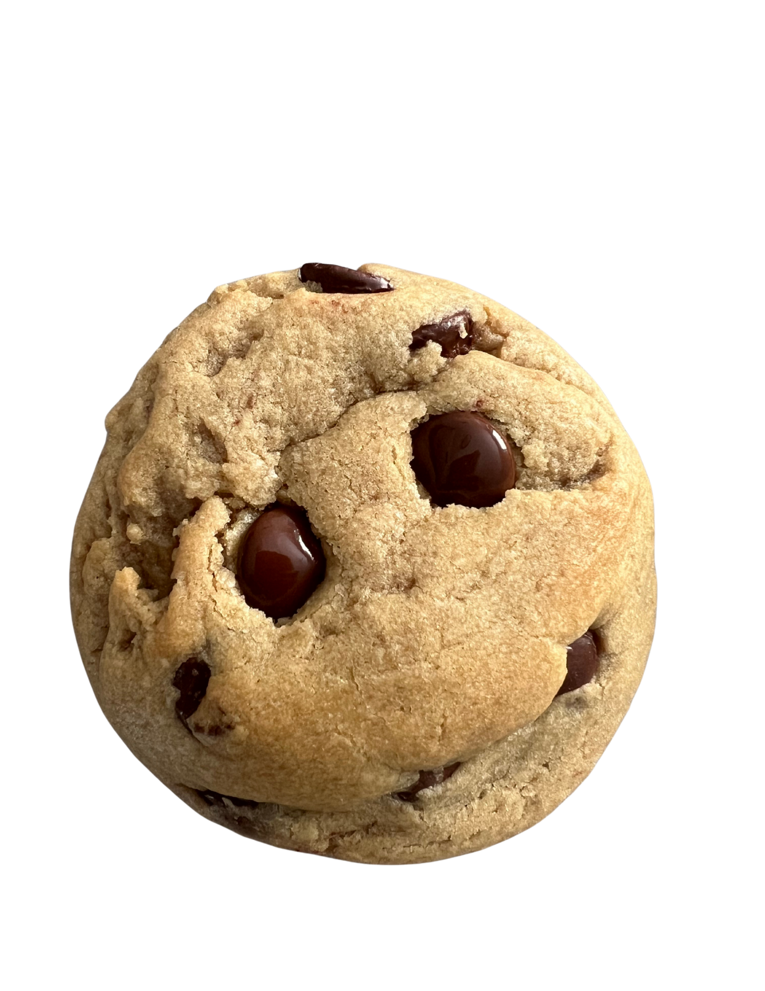 Chocolate Chip Cookie