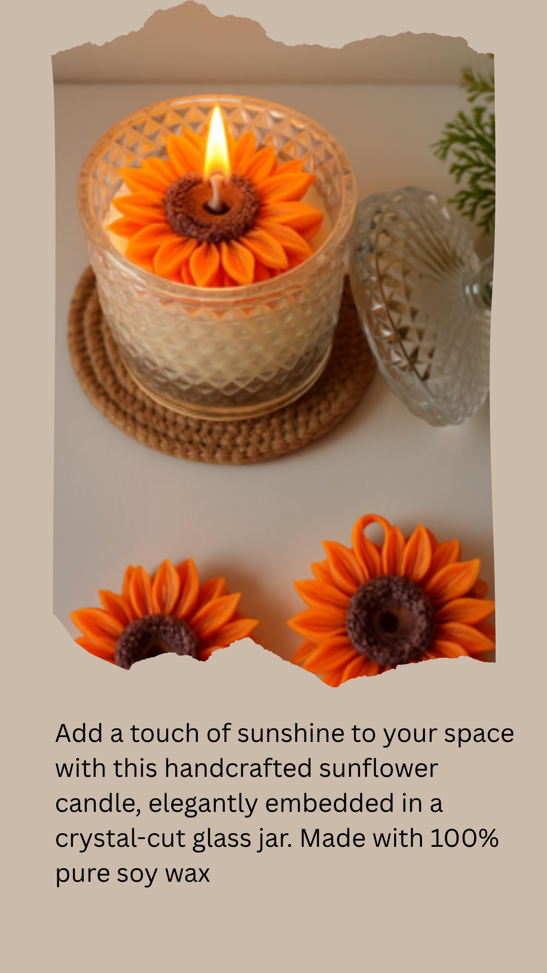 SUNSHINE IN THE JAR