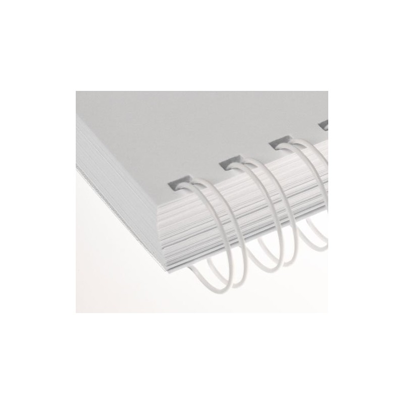 Anneaux métalliques A4 - 23 boucles - Pas de 2:1