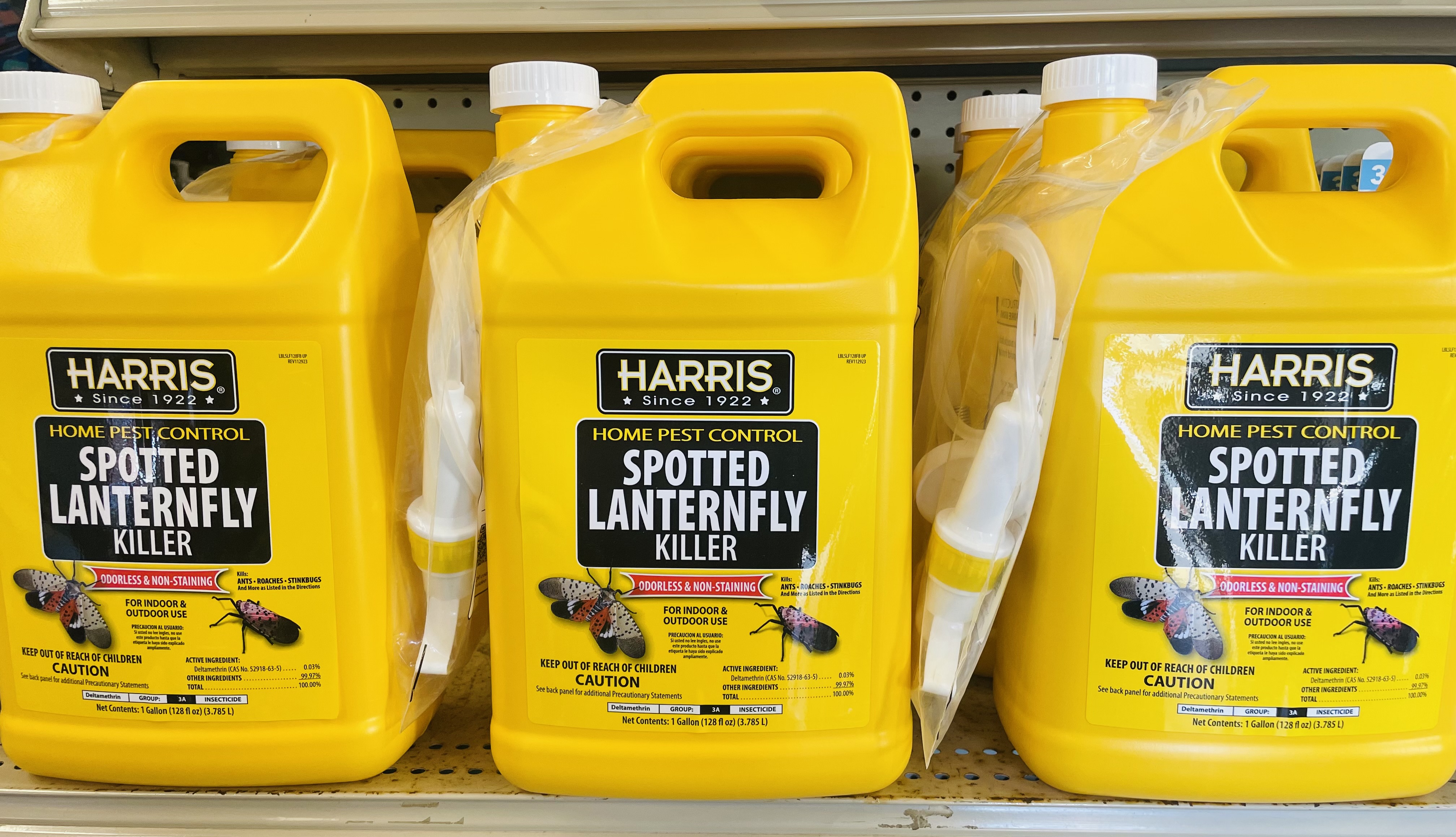 Harris Spotted Lanternfly Killer