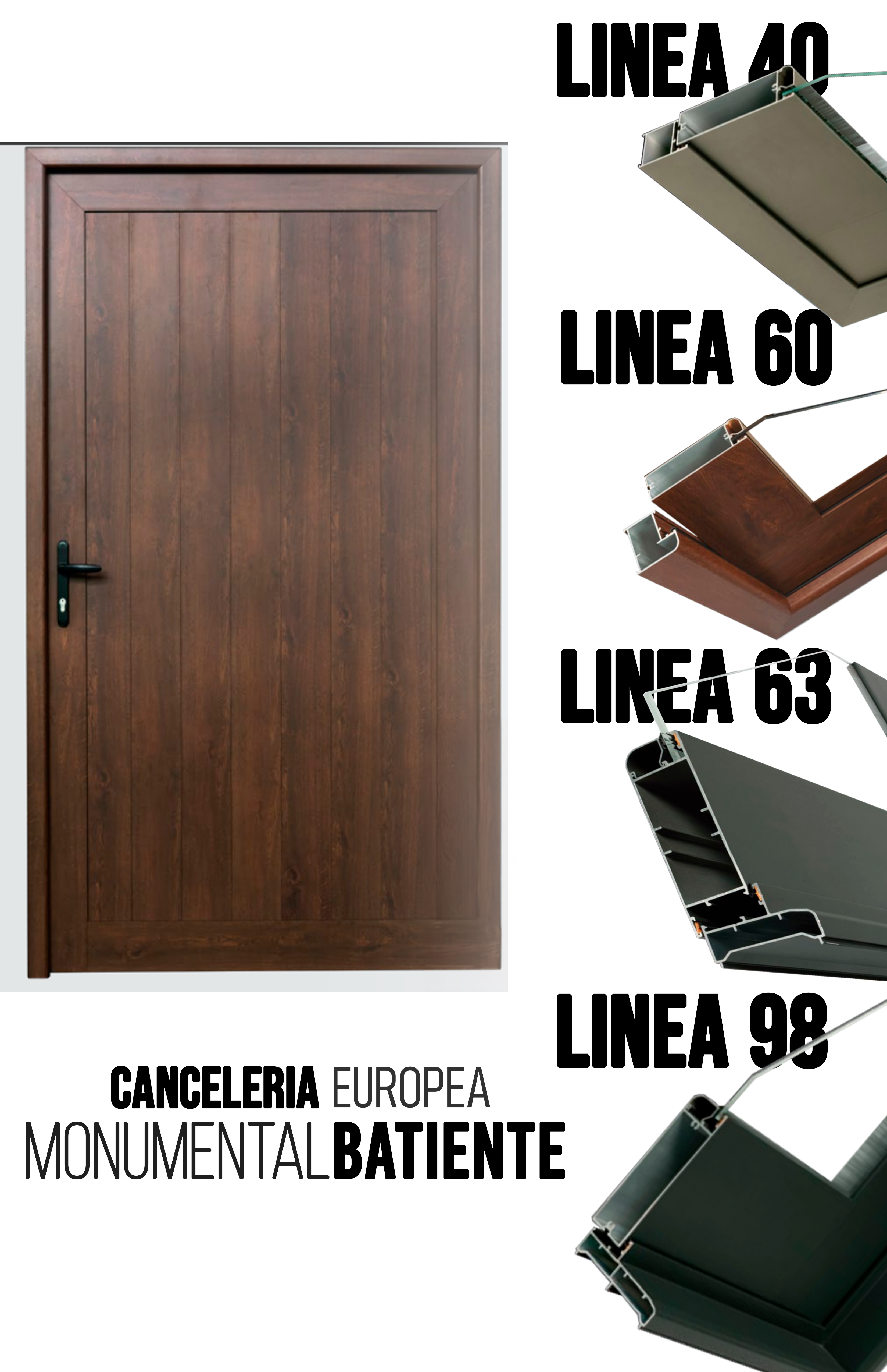 Puerta Batiente Monumental-Marco 63 Linea Europea