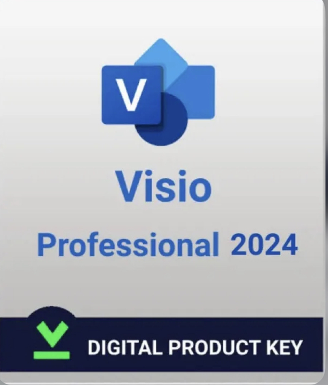 The Microsoft Visio Professional 2024