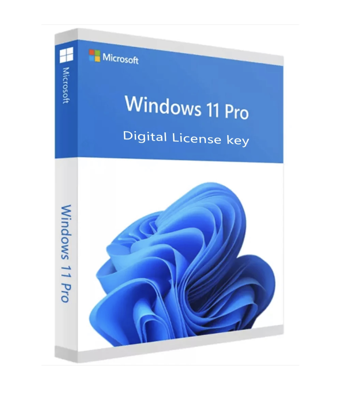 Microsoft Windows 11 pro