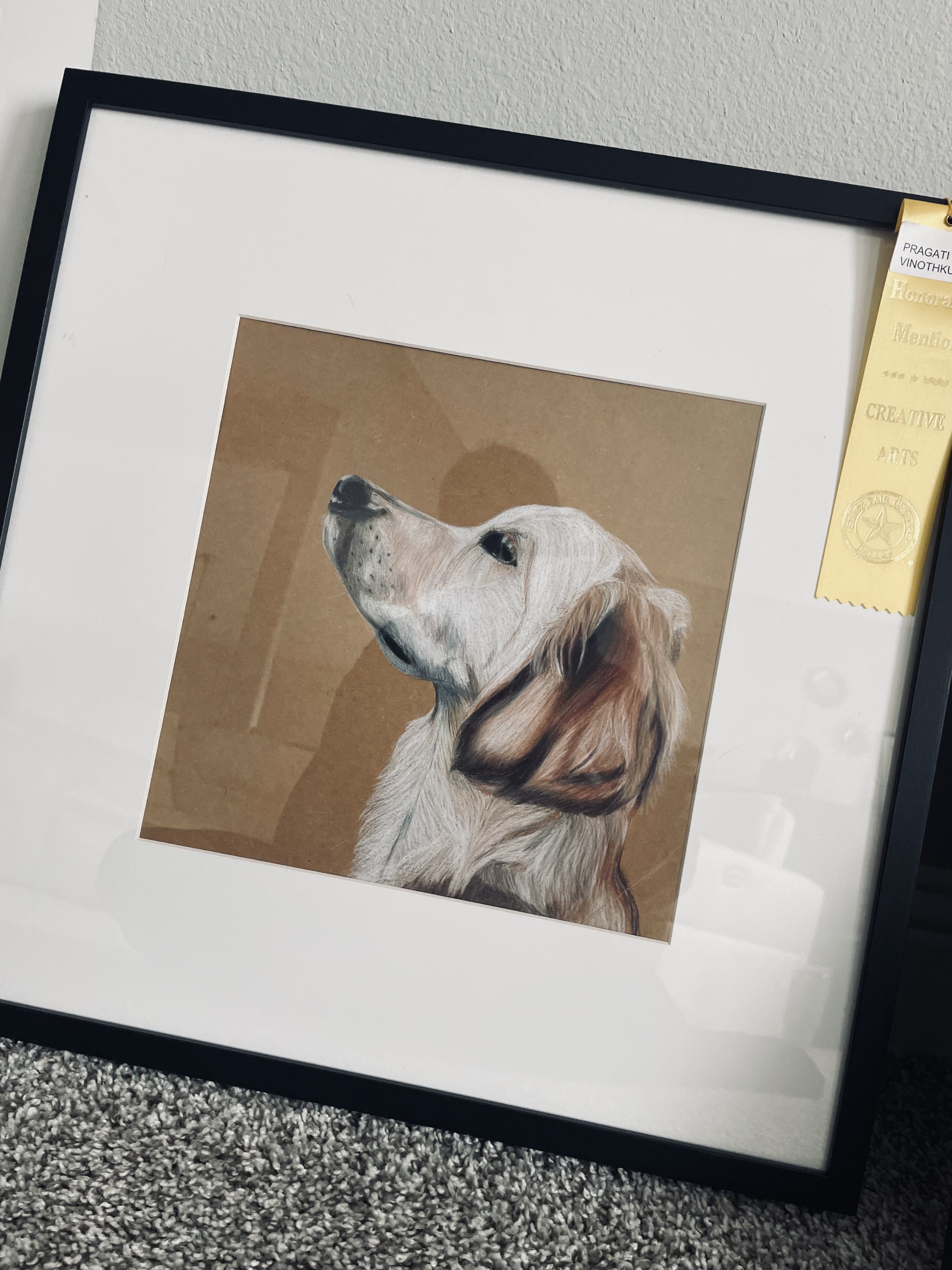 Side Profile (Canine Study)