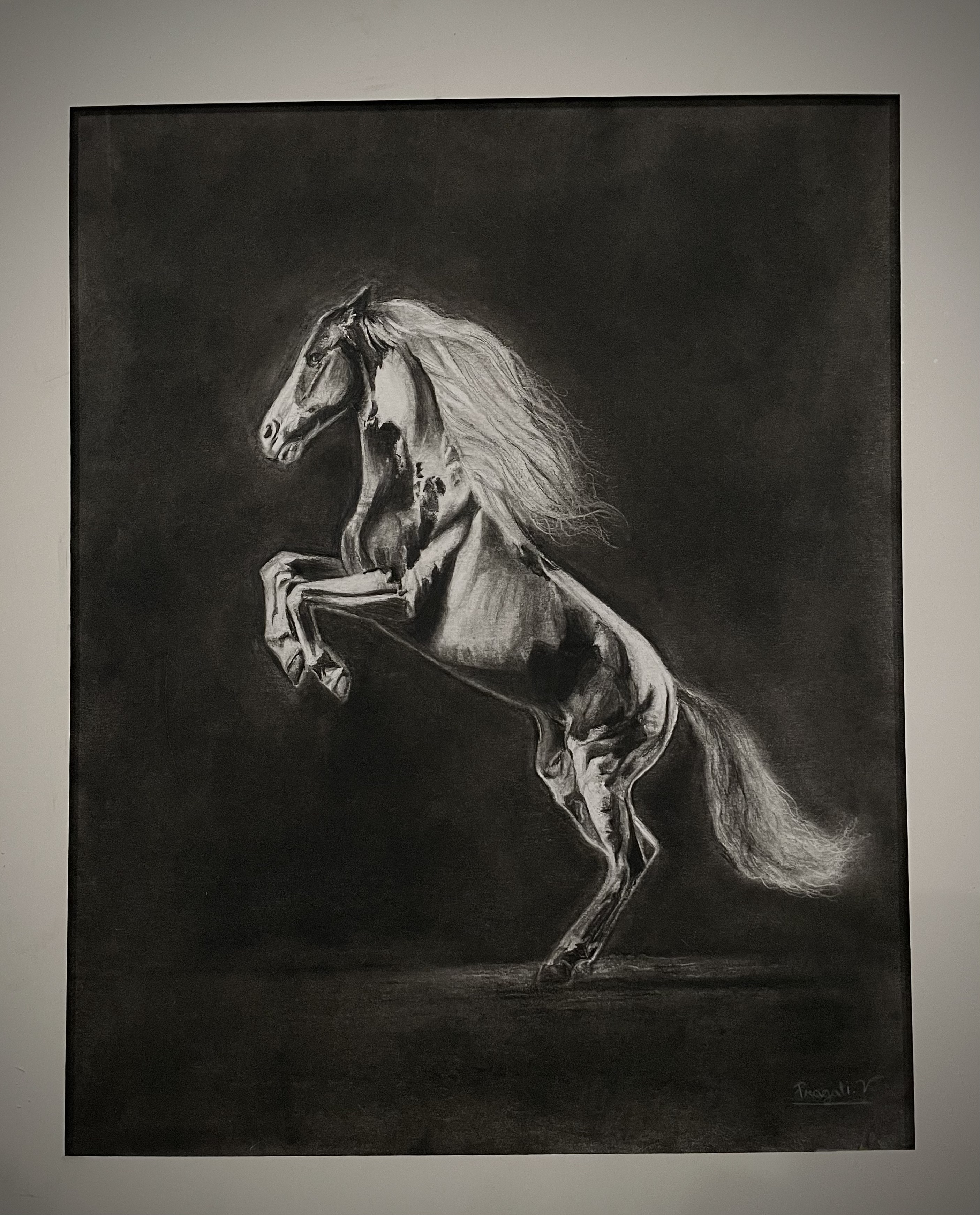 Charcoal Steed