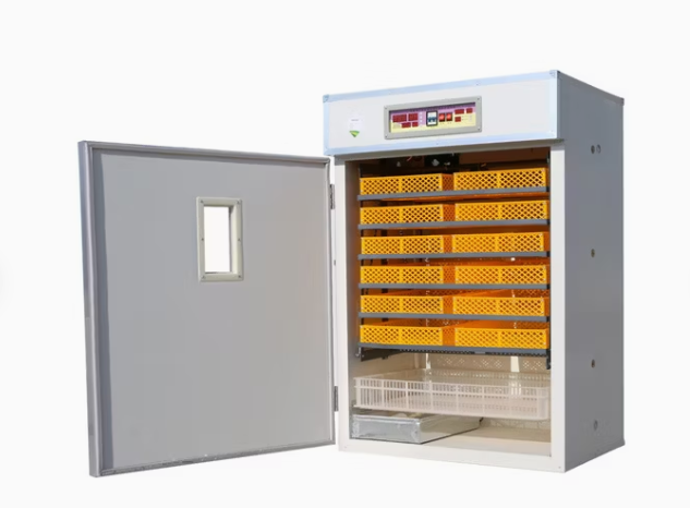 Chicken Egg Incubator