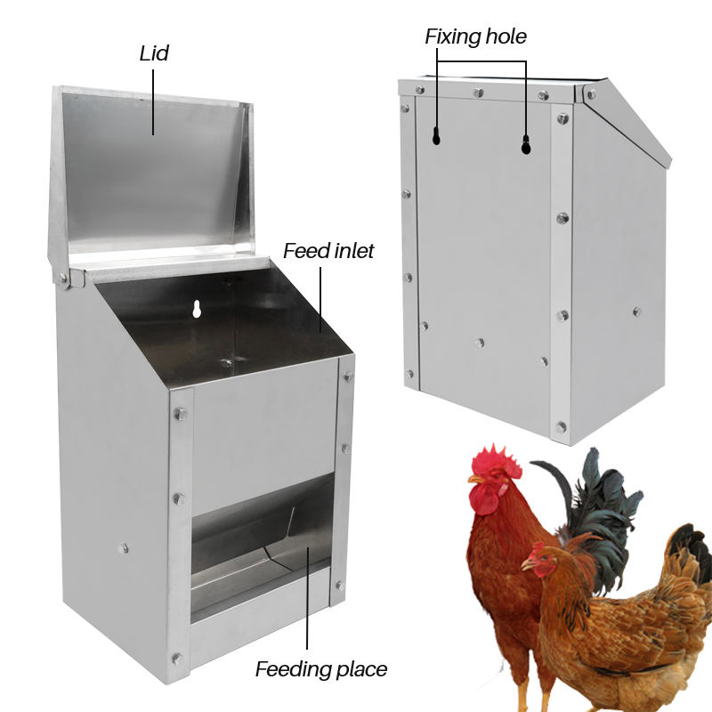 Automatic Chicken Feeder