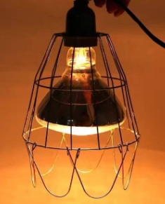 Poultry Heating Lamps