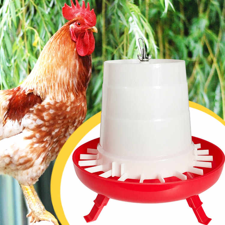 Automatic Chicken Feeder