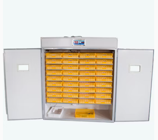 Egg Chicken Bird Goose Duck Incubator