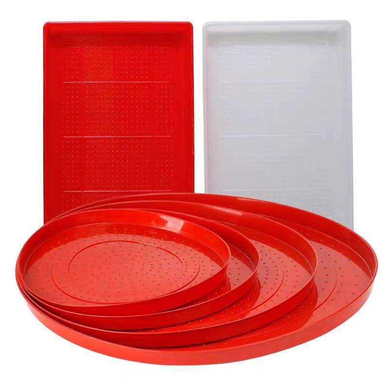 Chick Feeding Tray