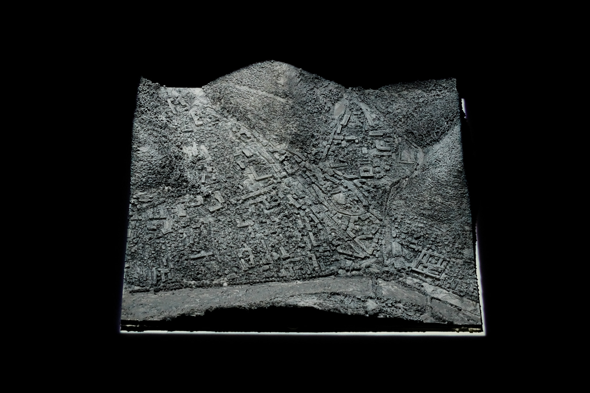 Digne-le-Bains 3D (04)