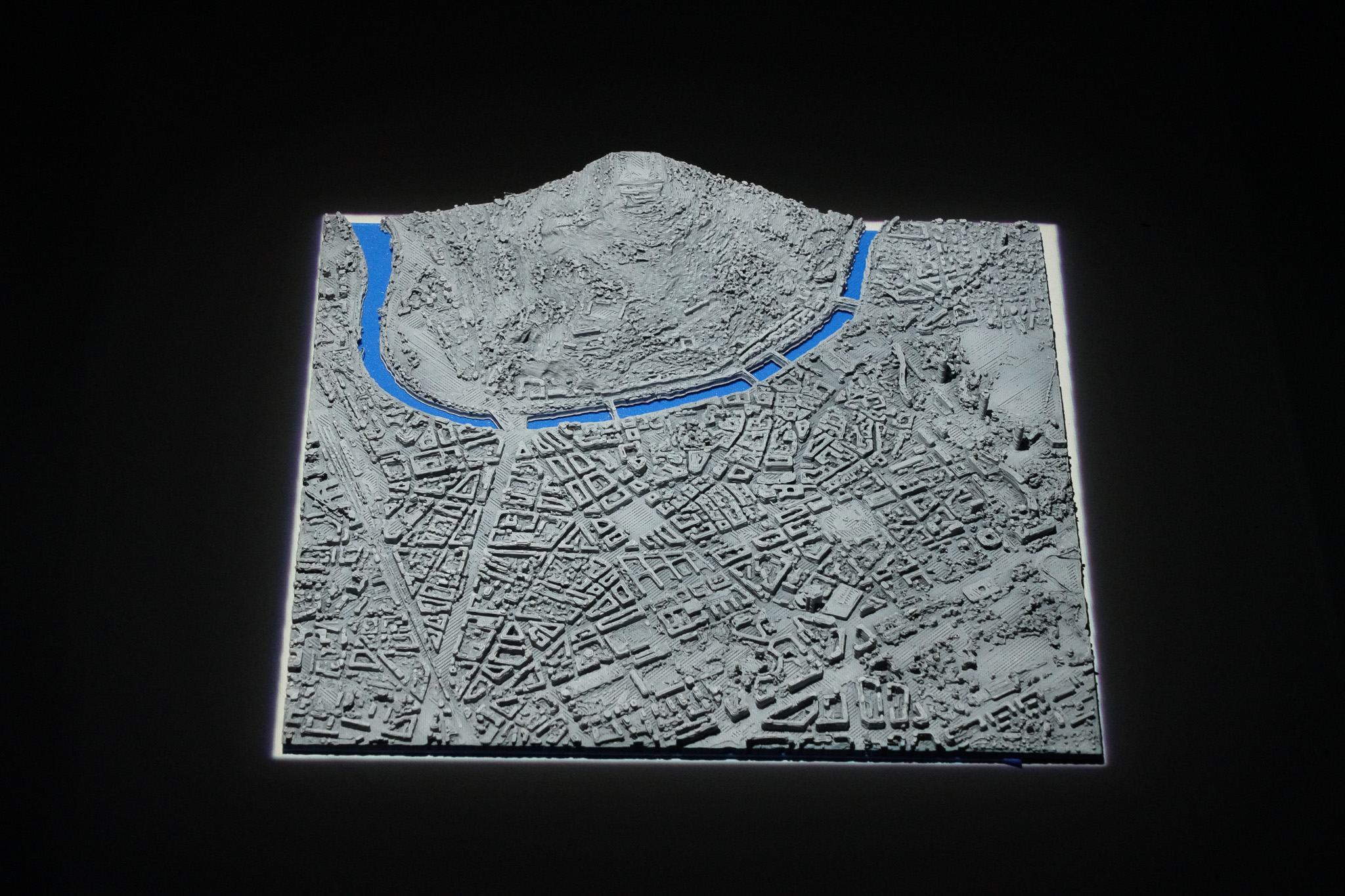 Grenoble 3D