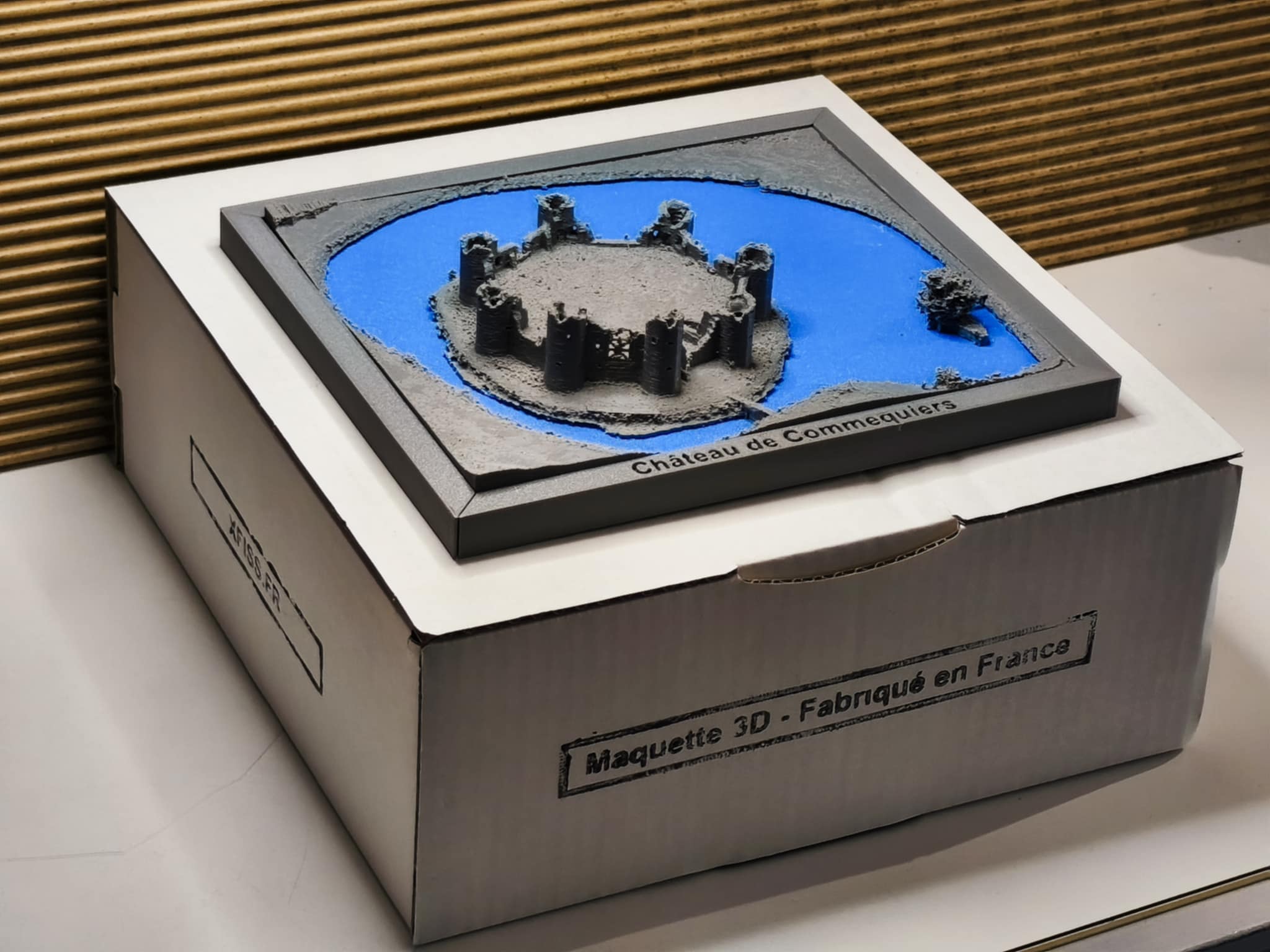 Château de Commequiers