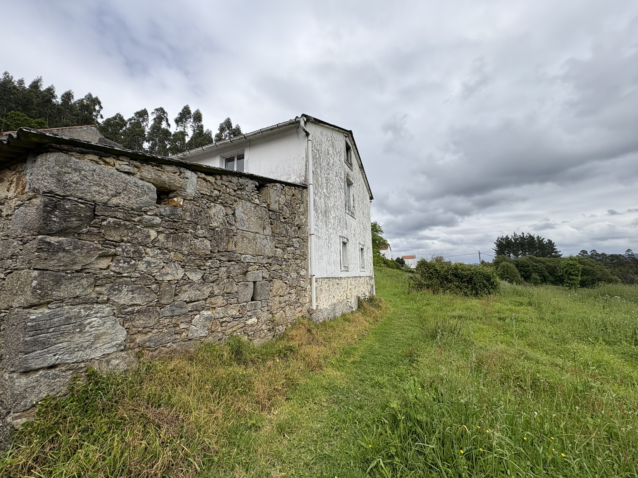 Finca rústica en Aldea Carballo, Pedroso (Narón)
