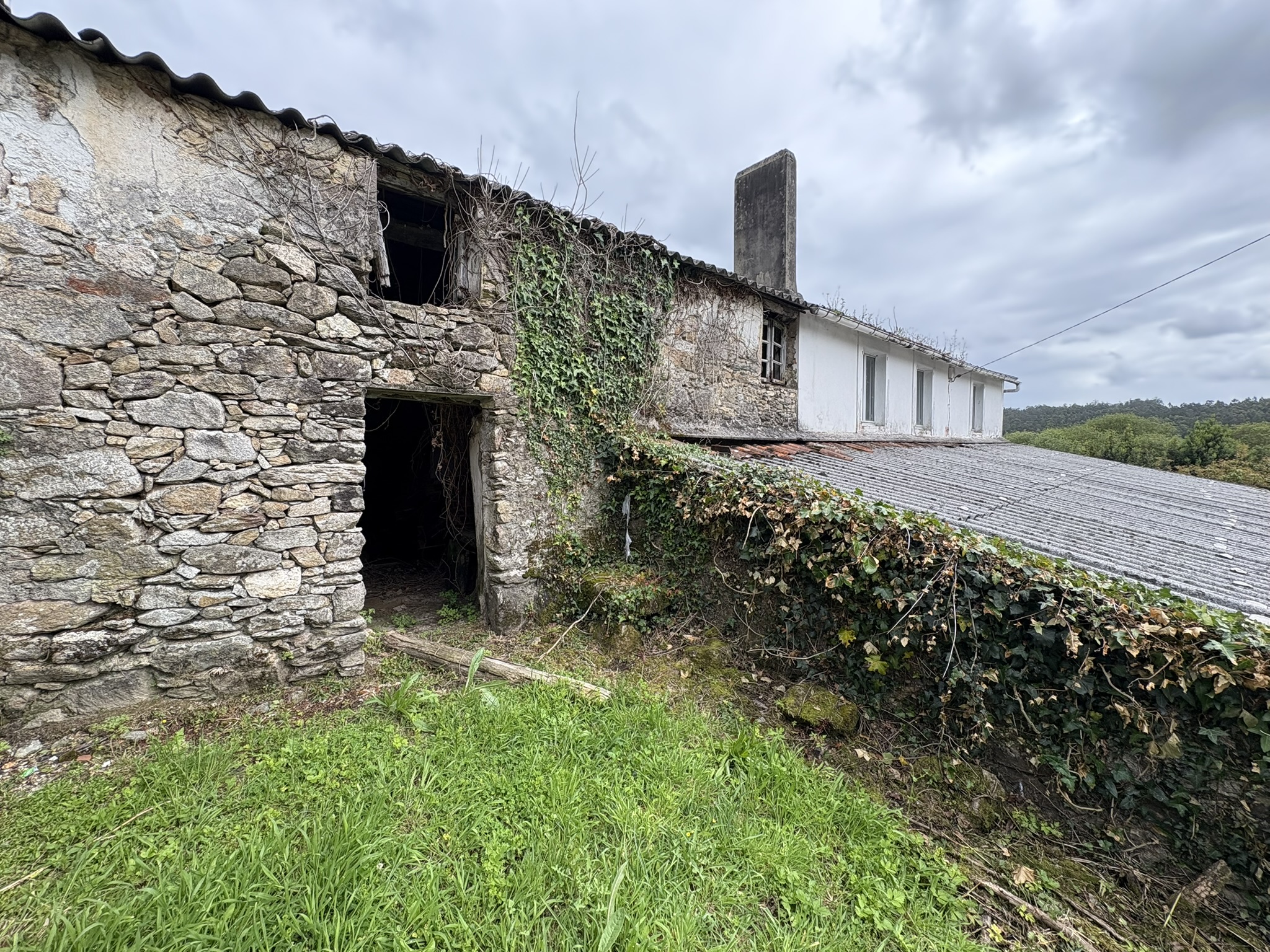 Finca rústica en Aldea Carballo, Pedroso (Narón)