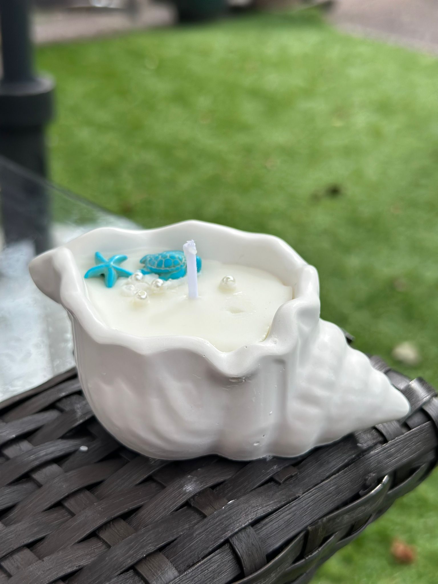 Seashell Candle