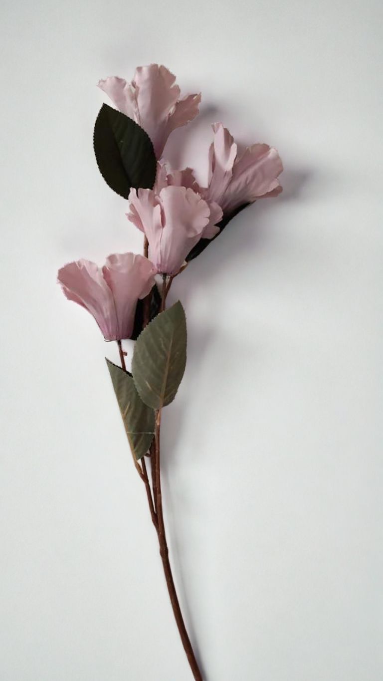 عرق زهور لون زهري