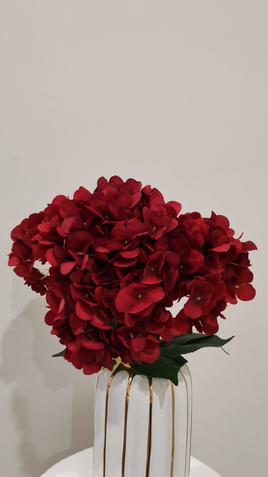 عرق زهور لون أحمر