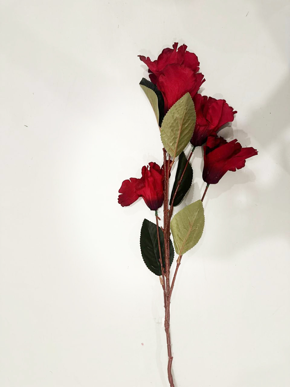 عرق ورود حمراء