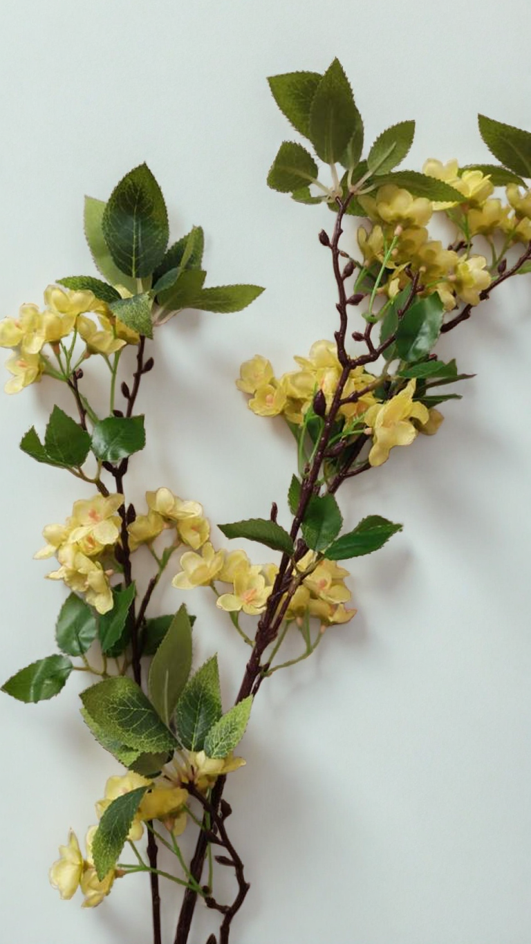  الفورسيثيا لون اصفر