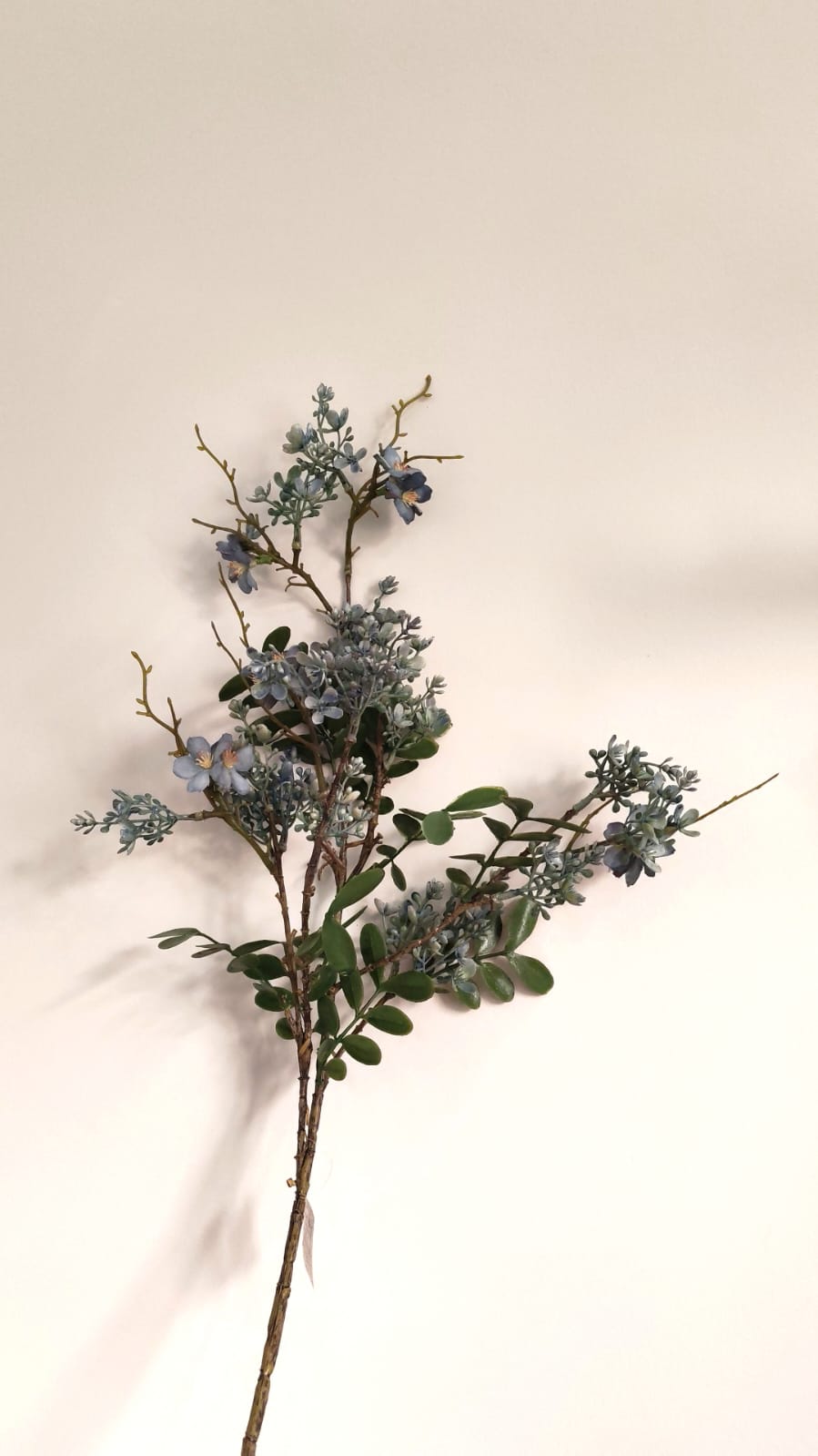 عرق زهور لون ازرق