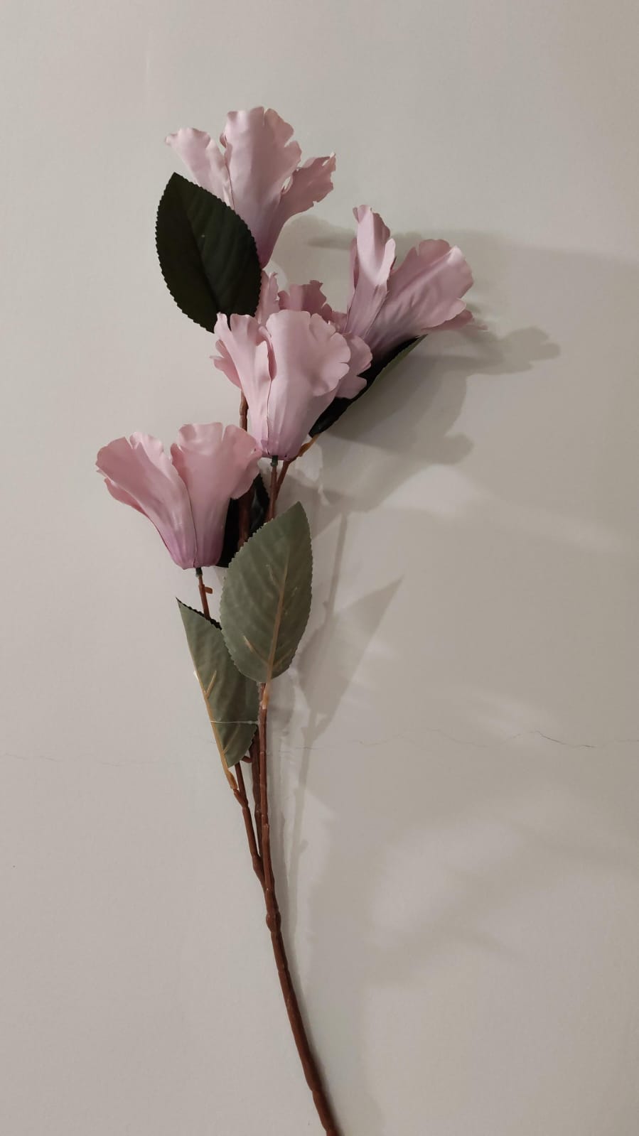 عرق ورود زهرية