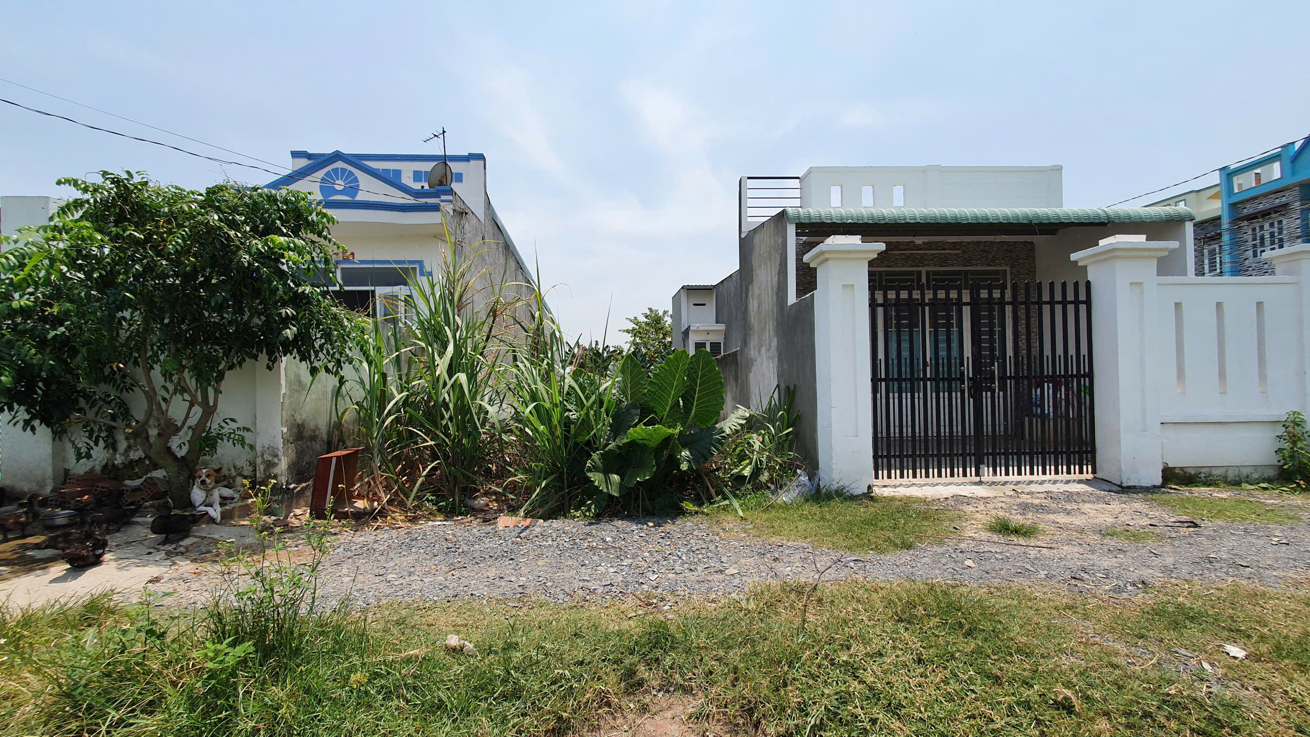 Bán đất cách đường Mỹ Hạnh (ĐT9) chỉ 50m. Full thổ cư. Giá 1 tỷ 2 bao sang tên.