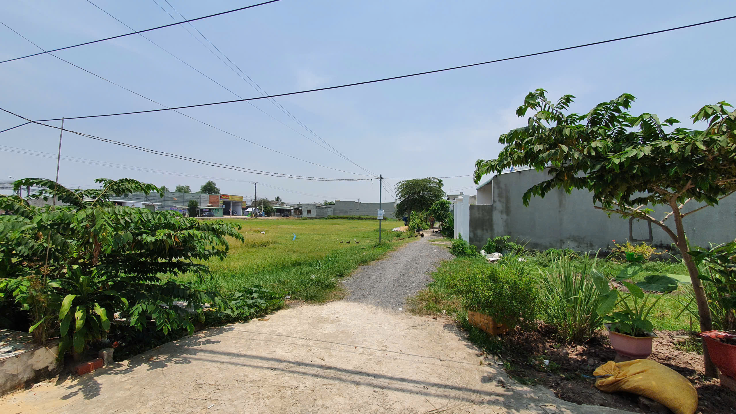 Bán đất cách đường Mỹ Hạnh (ĐT9) chỉ 50m. Full thổ cư. Giá 1 tỷ 2 bao sang tên.