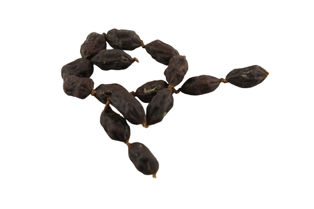 Praline di Selvaggina 150g