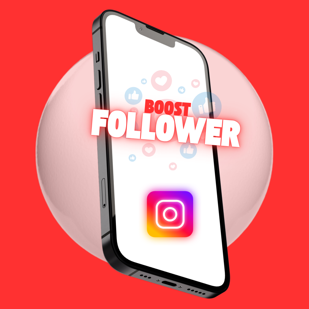 Followers INSTAGRAM