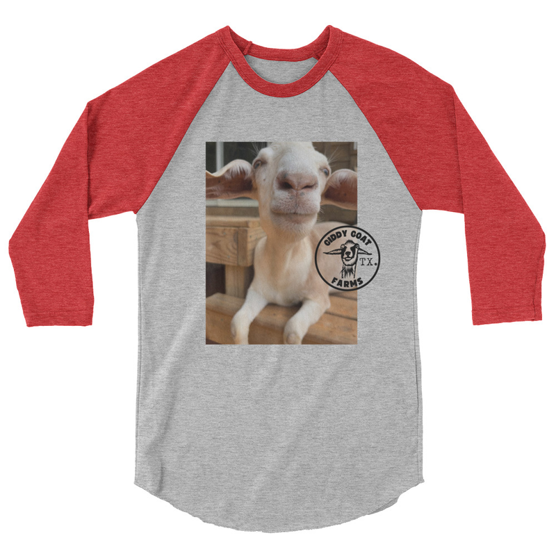 3/4 sleeve raglan Tilly shirt