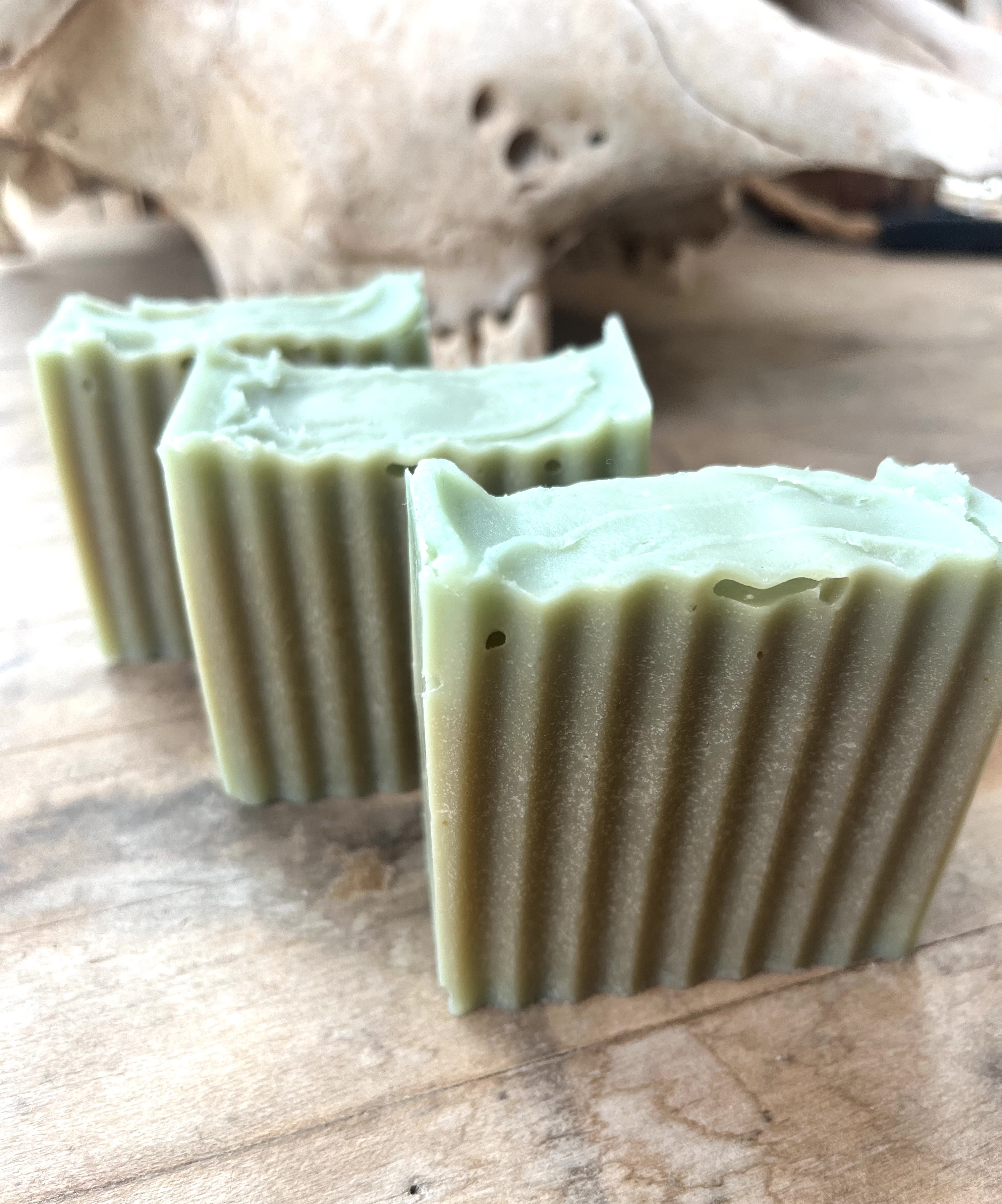 Goat Milk Pet Shampoo 