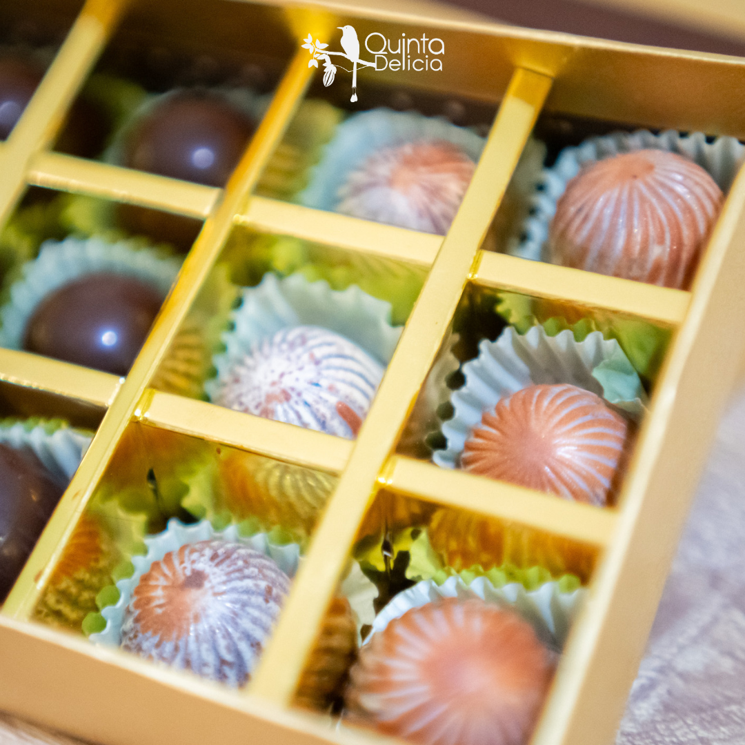 Assorted Gourmet Chocolates