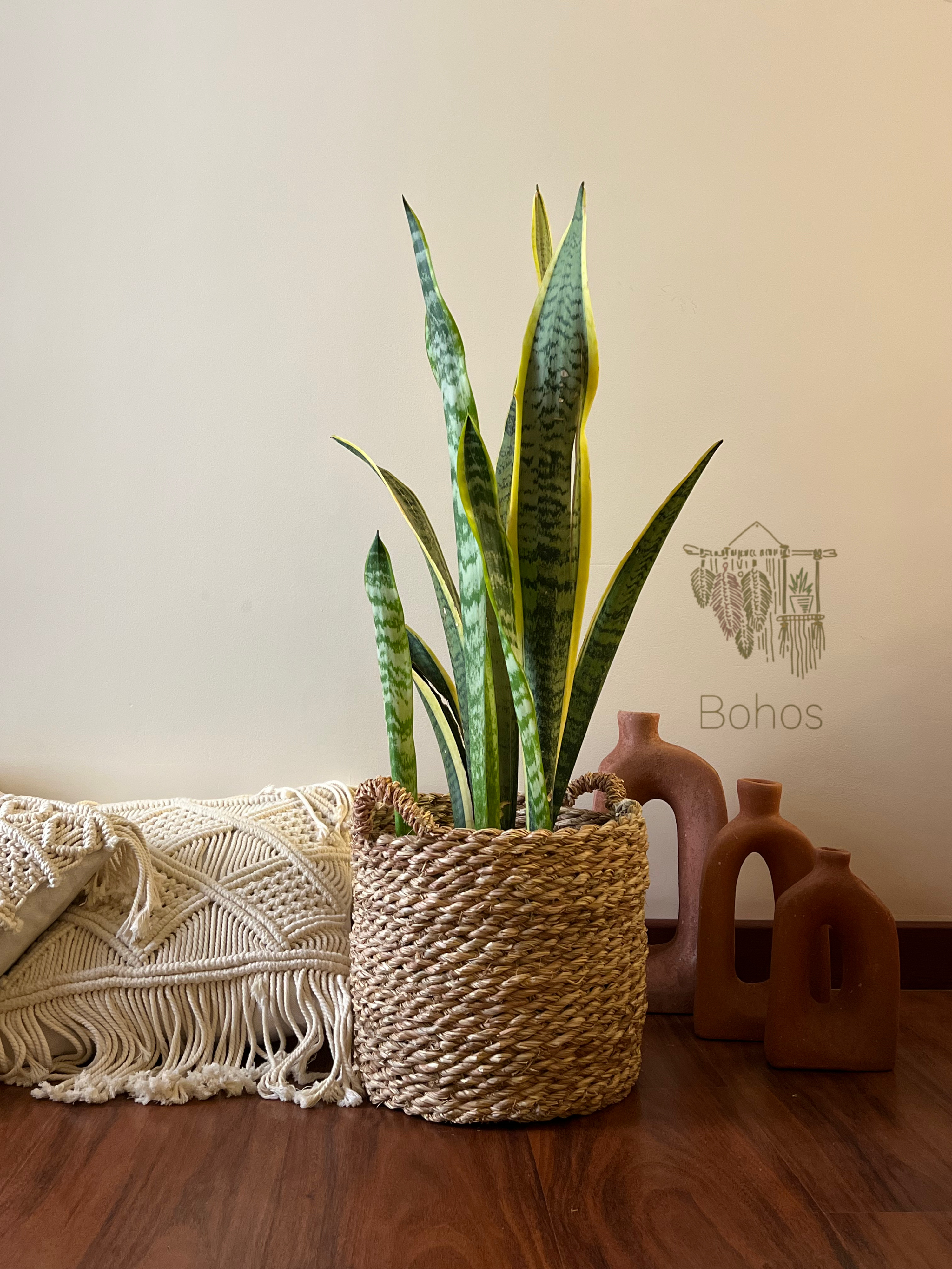 Halfa Basket Different Sizes 