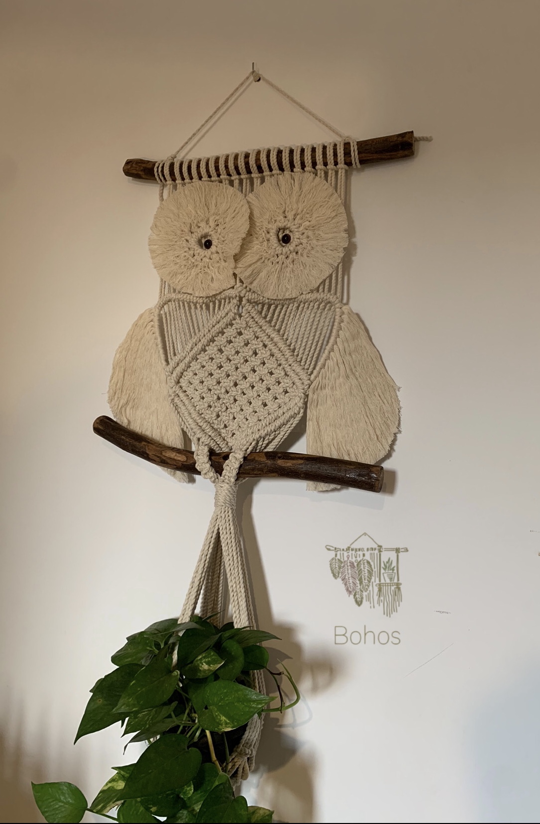 Macrame Owl Wall Hanging With Plant Hanger