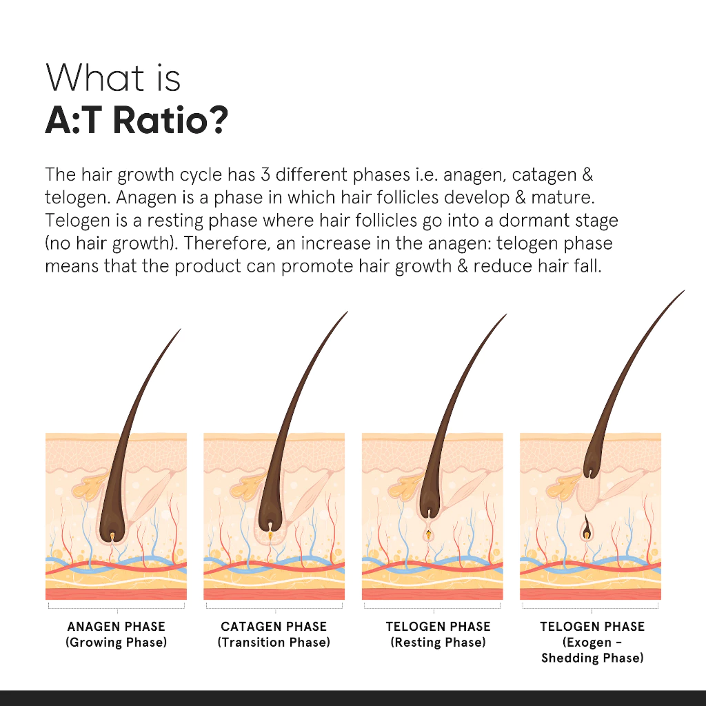 Minimalist 18% Hair Growth Serum