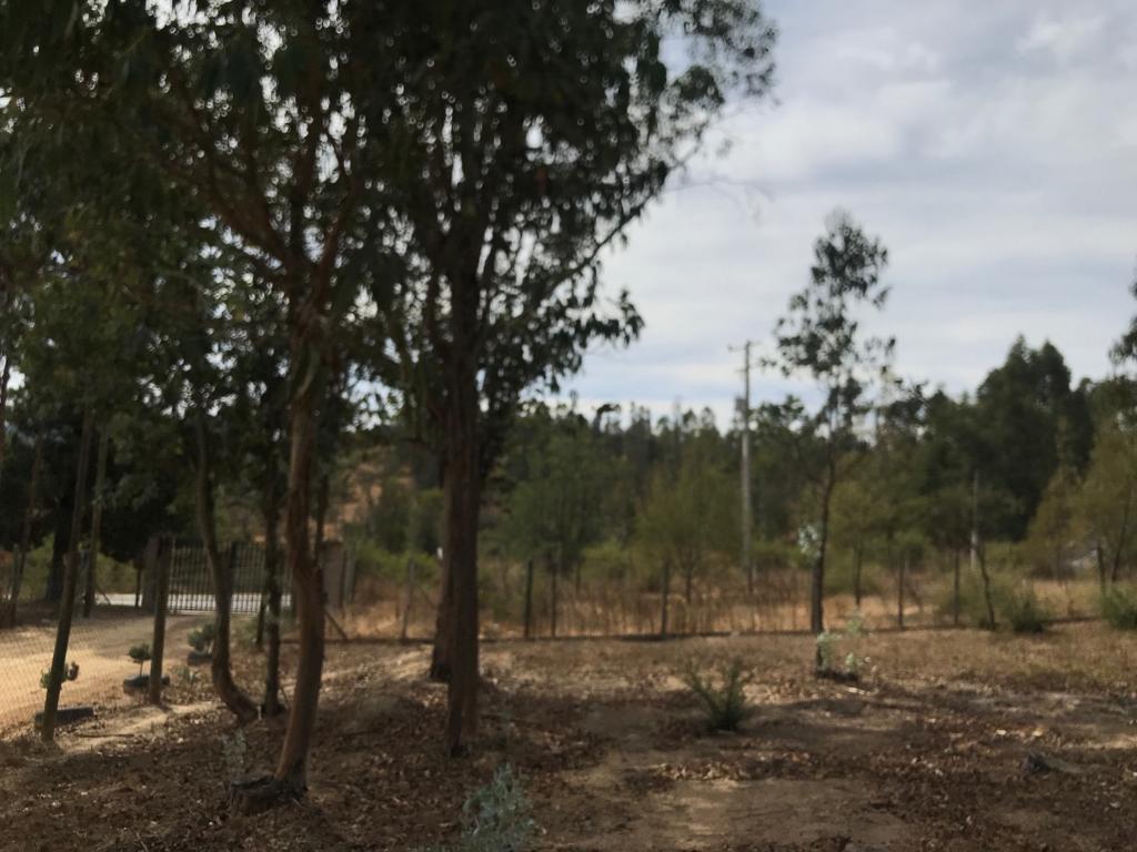 PARCELA EN VENTA -SAN PEDRO