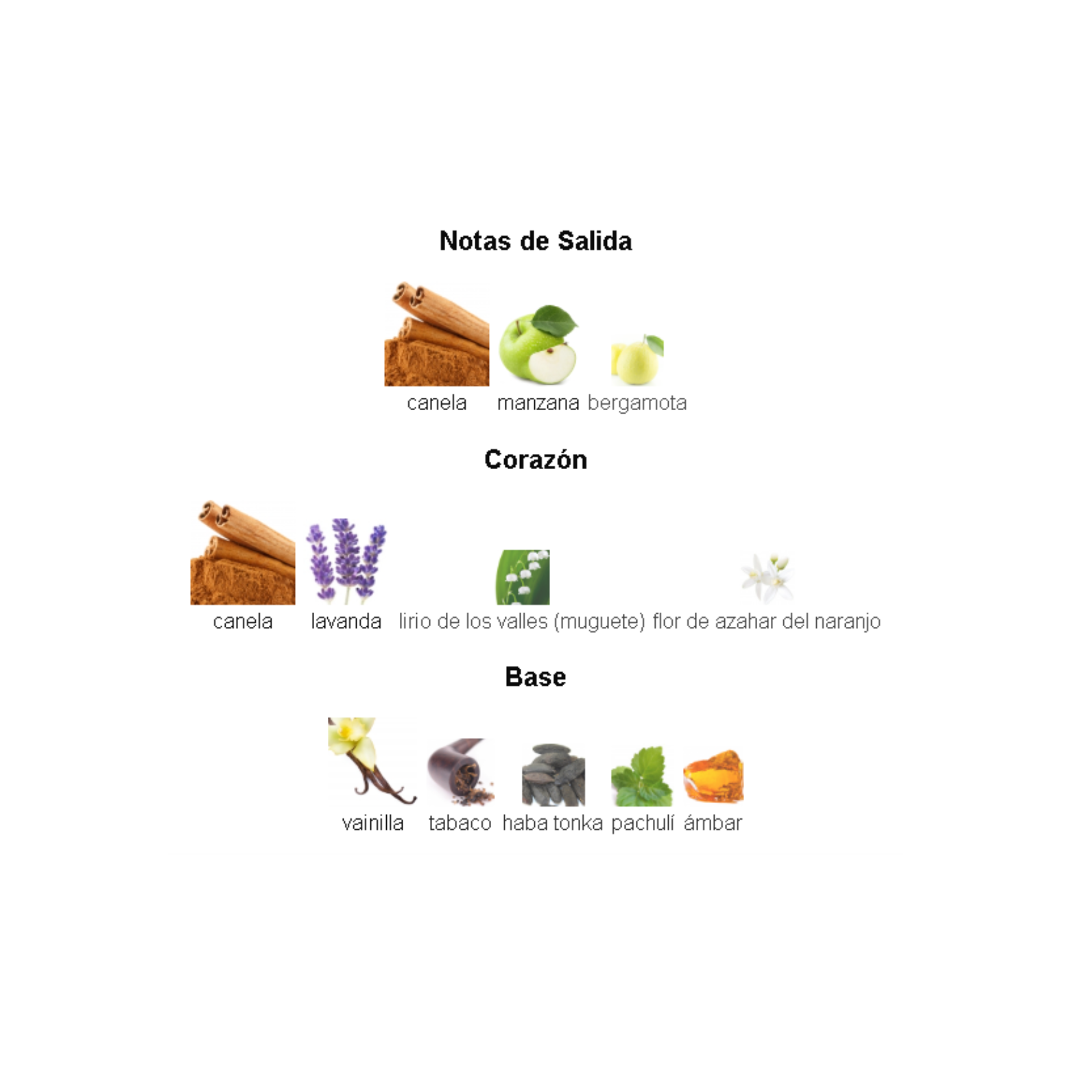 Odyssey Spectra Armaf